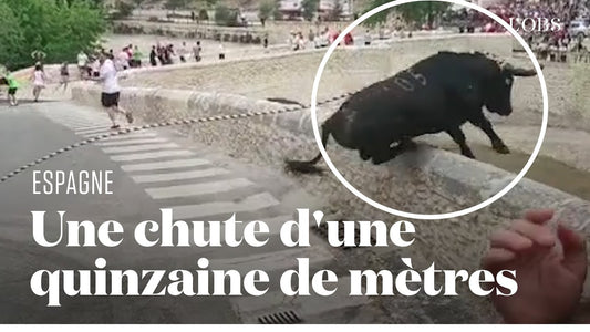 Découvrez cette vidéo stupéfiante d'un taureau qui se précipite dans le vide lors d'une fête traditionnelle en Espagne