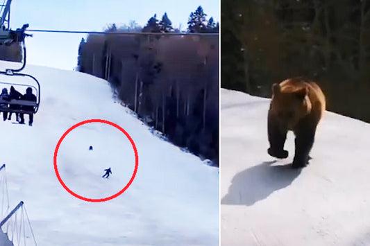 Un skieur se fait subitement attaquer par un OURS en pleine descente et est filmé par les gens en télésiège