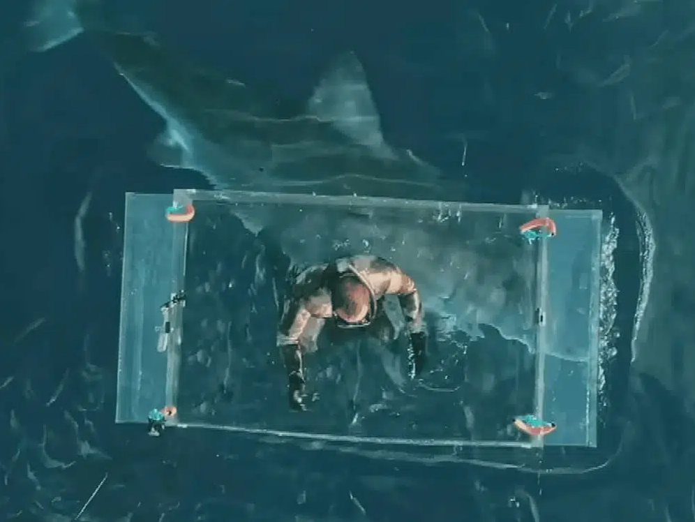 Un grand requin blanc brise littéralement la cage en plastique d'un plongeur !