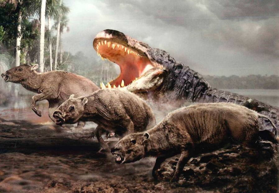 Le Purussaurus : le plus gros genre éteint de crocodiliens géants il y a 20,4 et 5,3 millions d'années