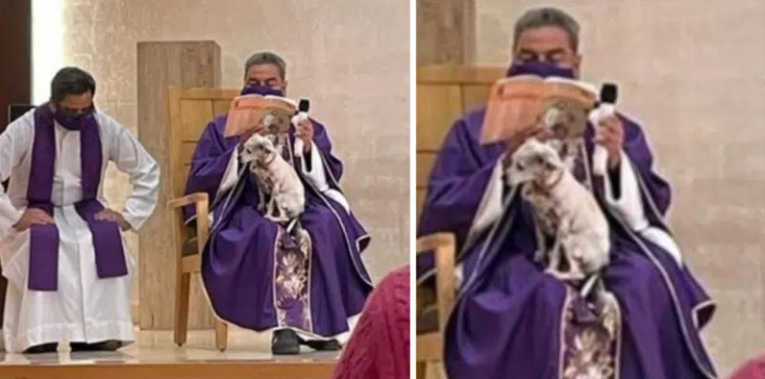 Après avoir emmené son chien malade à l'église pour ne pas le laisser seul, un prêtre reçoit un flot de critiques