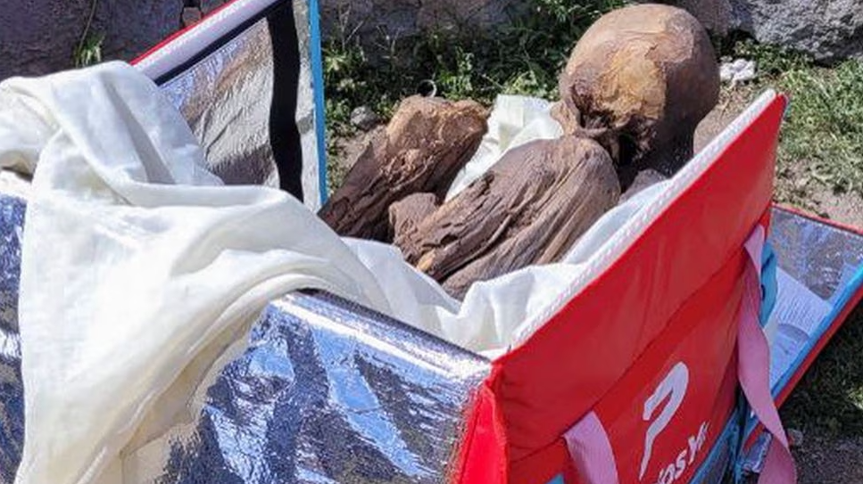 Découverte surprenante d'une momie vieille de 600 à 800 ans dans le sac d'un ancien livreur
