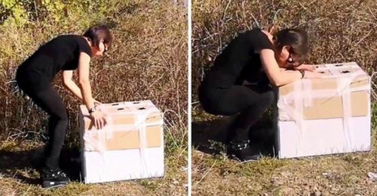 Une femme trouve une boîte en carton abandonnée sur le bord de la route et découvre l'impensable à l'intérieur !