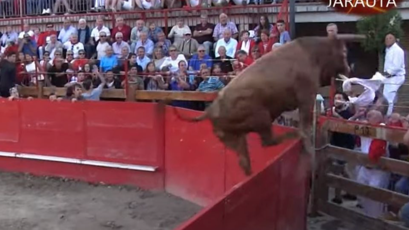 Chaos à la corrida : un taureau s'échappe de l'arène en sautant dans la foule !