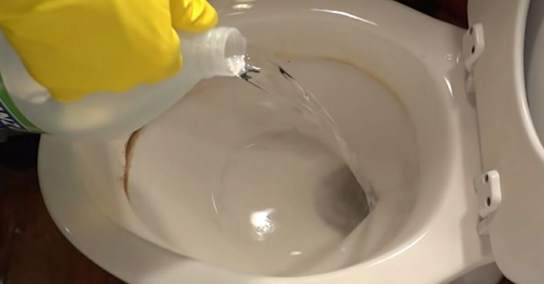 Astuce de nettoyage nocturne : pourquoi verser du vinaigre dans les toilettes avant de dormir