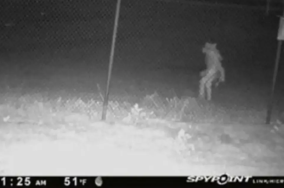 La photo d'une terrifiante créature bipède en pleine nuit noire sème la panique au Texas !