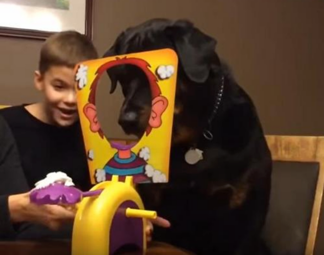 Un chien s'amuse à un jeu hilarant avec un garçon qui a de la crème fouettée sur le visage