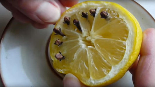 Découvrez l'astuce anti-mouche naturelle : Citron et clou de girofle pour une maison sans insectes