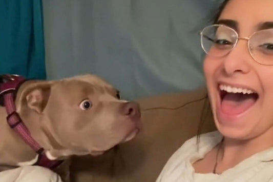 La maîtresse aboie sur son chien et sa réaction est tordante !