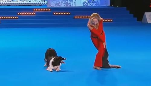 Un duo surprenant remporte la première place du championnat mondial de danse canine