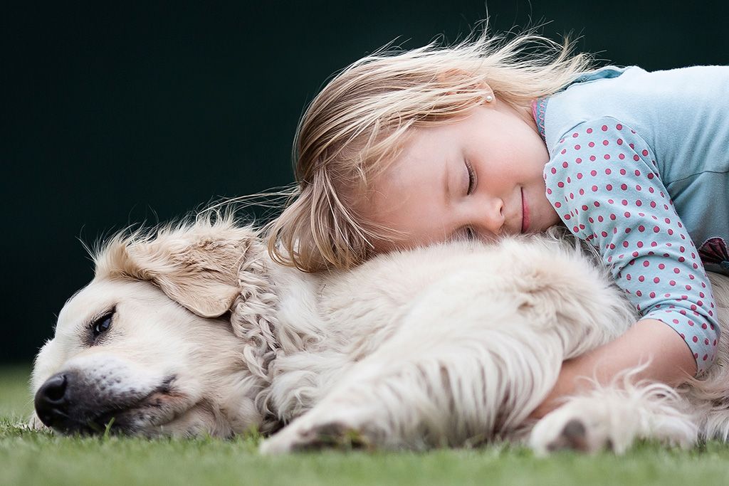 Selon une étude récente, il a été constaté que la présence de chiens avait un effet apaisant sur les enfants
