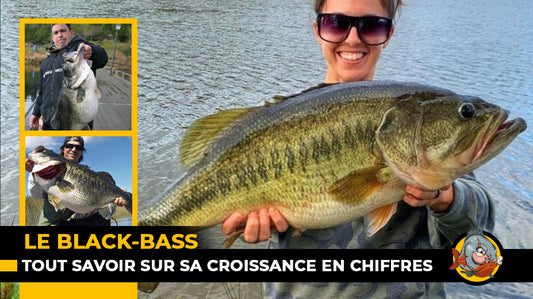 Croissance du black-bass