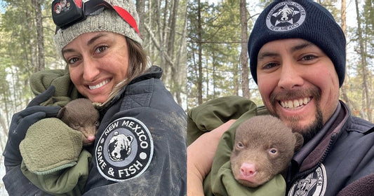 Offre d'emploi de rêve : devenez un professionnel du câlin d'ours au Nouveau-Mexique !